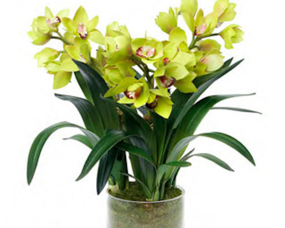 Garden Accessories