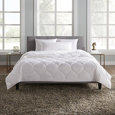Sferra Arcadia Collection