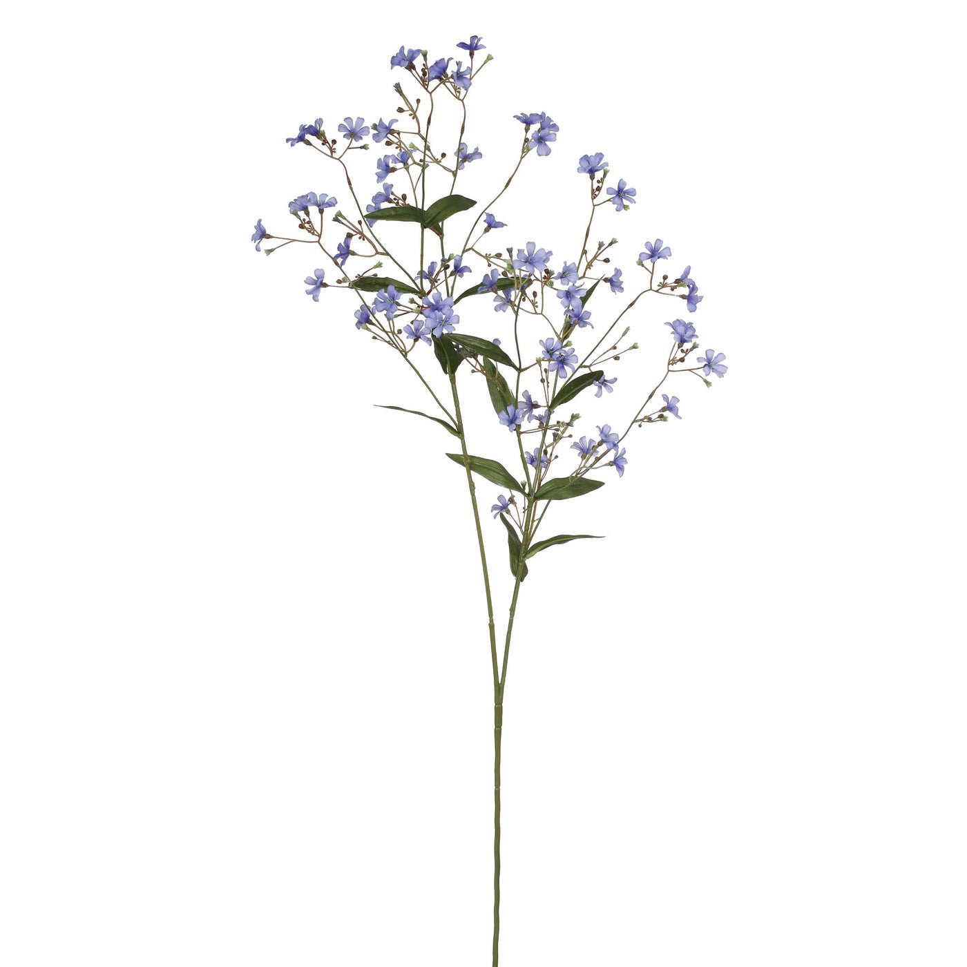 Winward Wild Wax Flower Spray