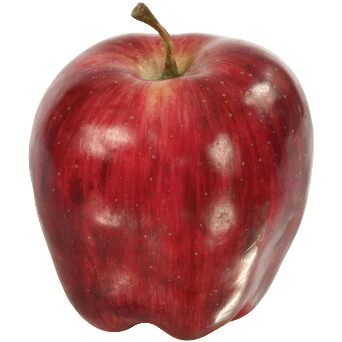 Winward Apple Red Delicious - Burgundy