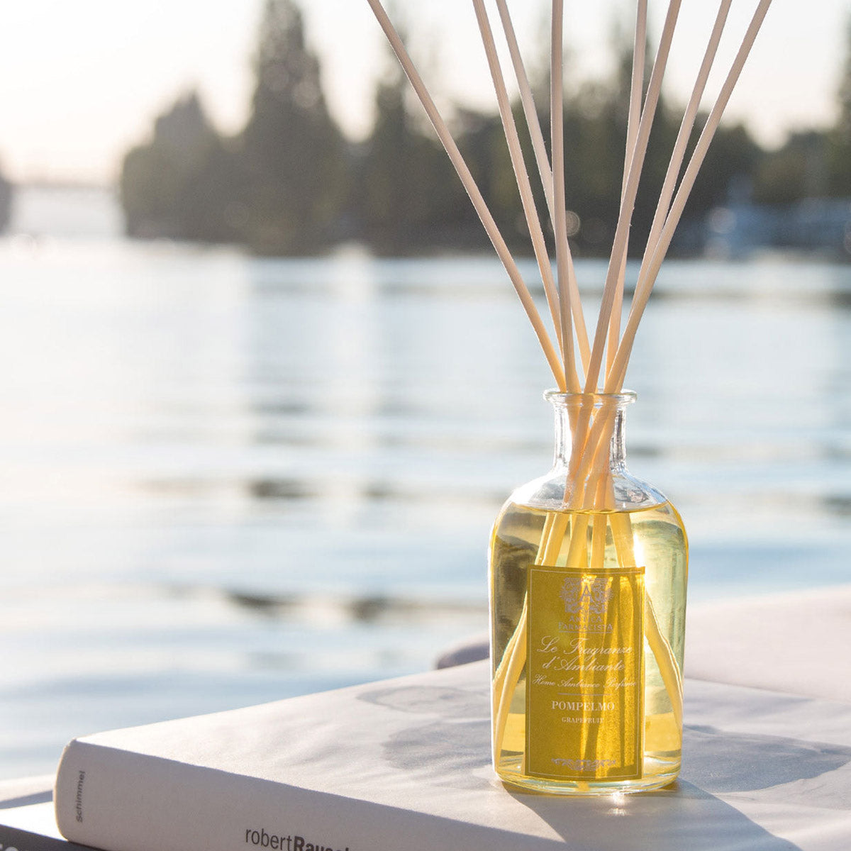 An image of Antica Farmacista Grapefruit Reed Diffuser 8.5 fl oz