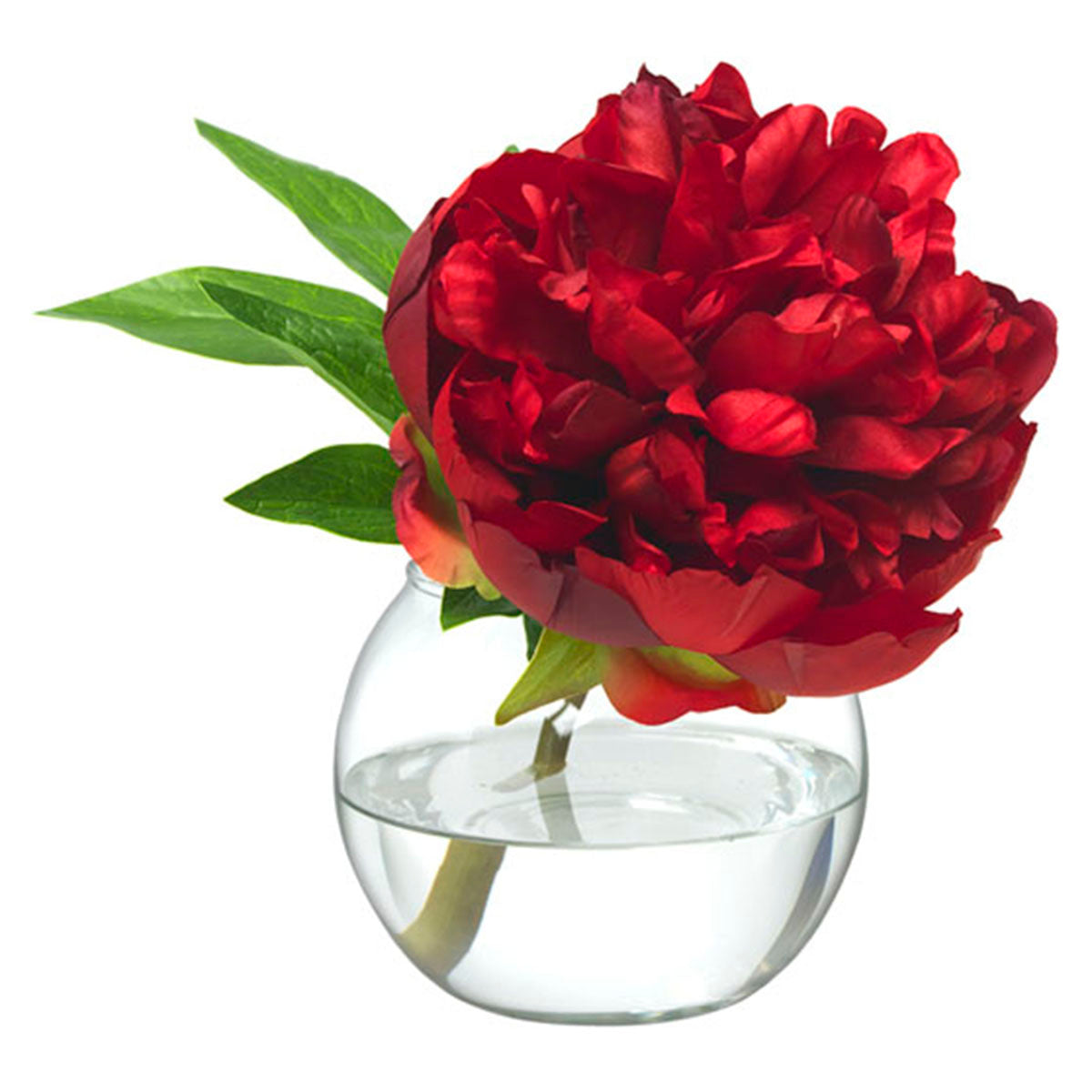 An image of Diane James Red Peony Blossom