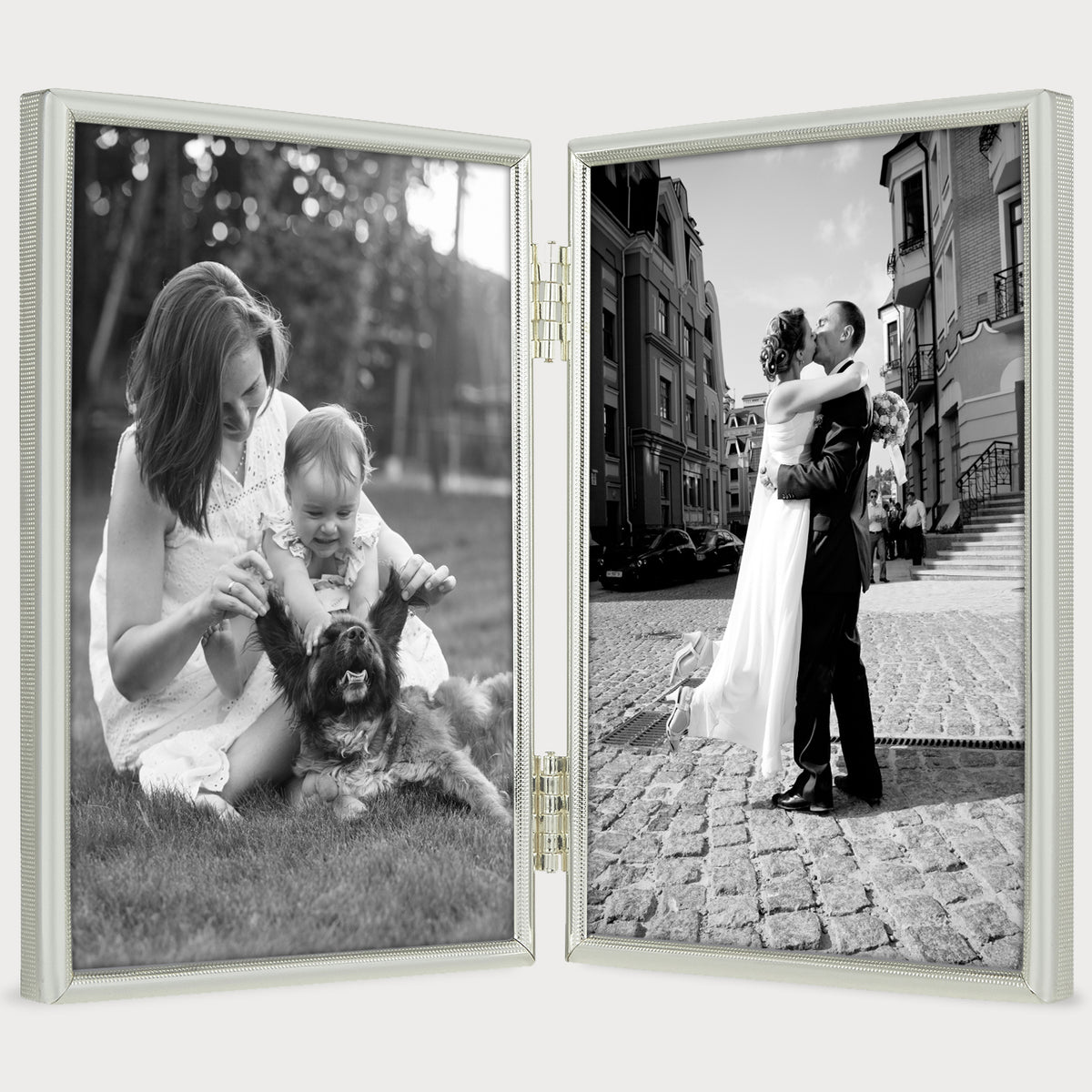Siena Narrow Mesh Silverplate Double frame