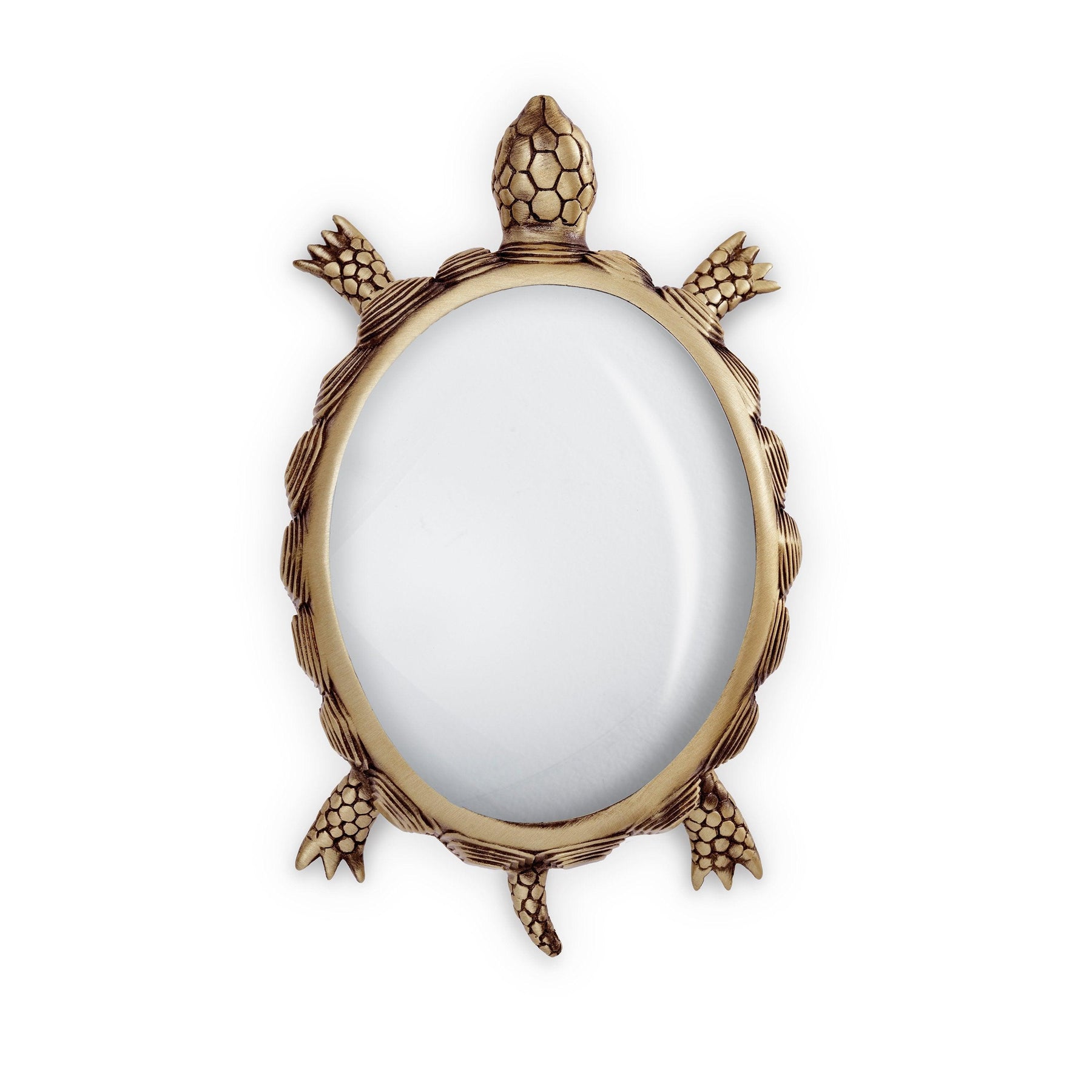 L'Objet Turtle Magnifying Glass