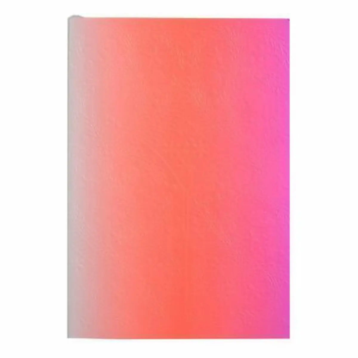 Hachette Christian Lacroix Ombre Paseo Notebook in Neon Pink