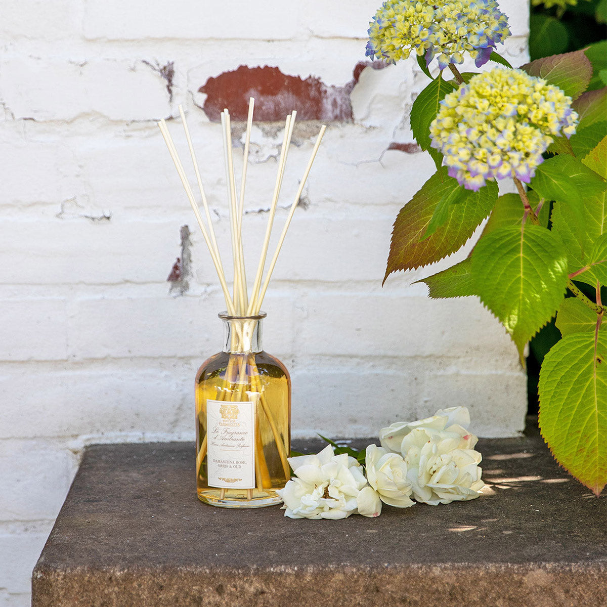 An image of Antica Farmacista Damascena Rose, Orris & Oud Reed Diffuser 16.9 fl oz