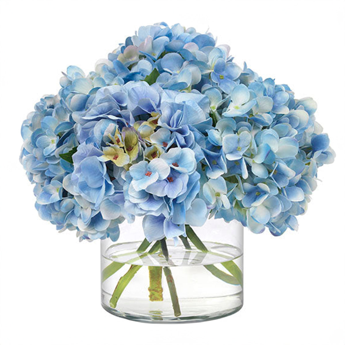 An image of Diane James Blue Hydrangea in glass cyclinder 11"d x11"h