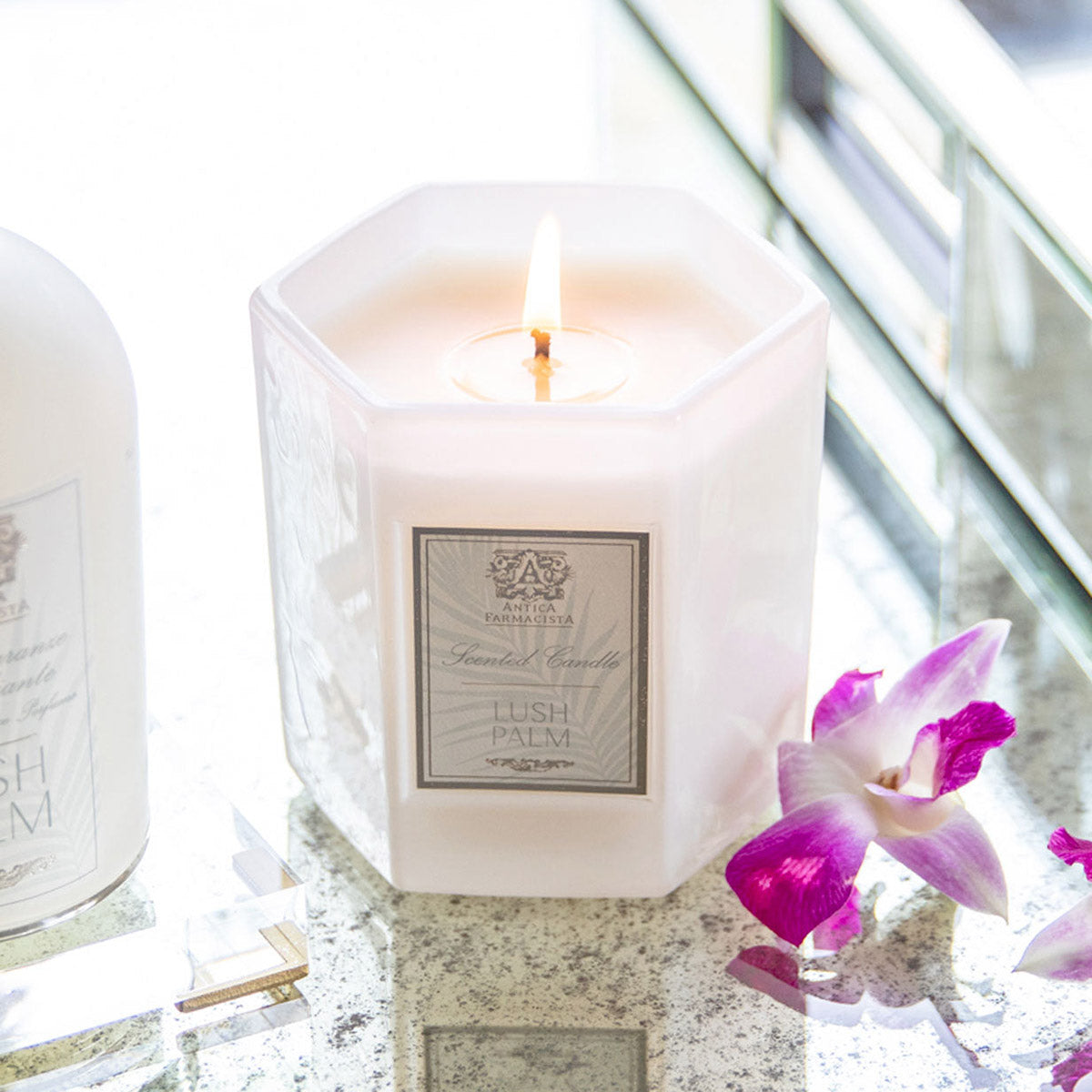 An image of Antica Farmacista Lush Palm Candle 9 oz