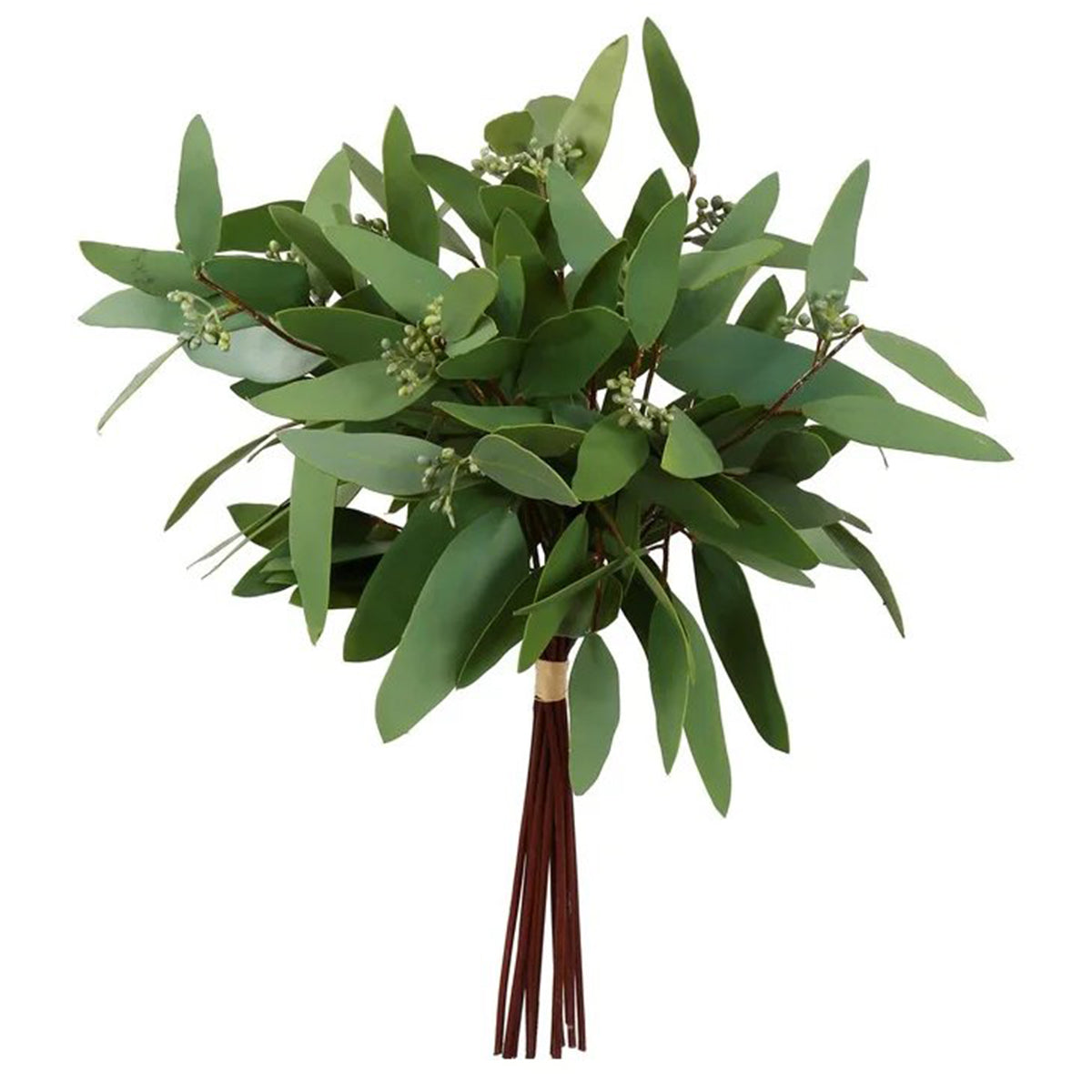 Winward Long Eucalyptus Bundle