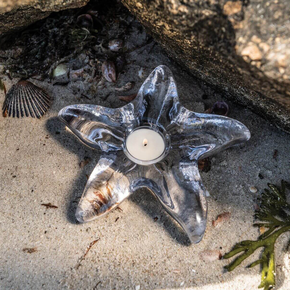 An image of Simon Pearce Starfish Tealight in Gift Box