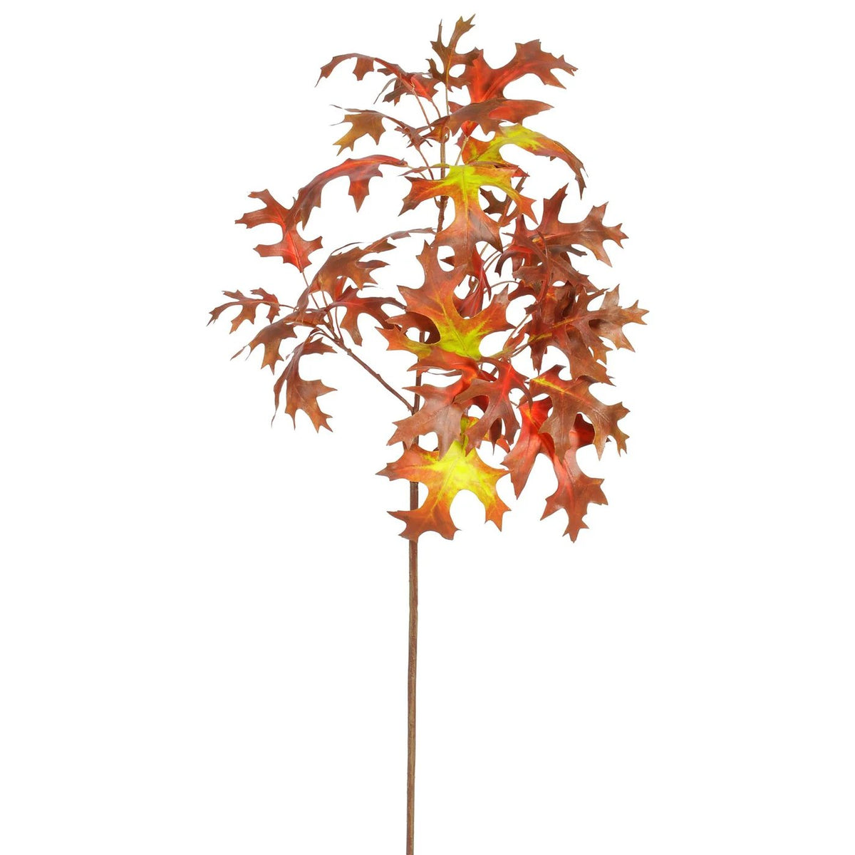 Winward Brown Antler Leaf - 33 inch
