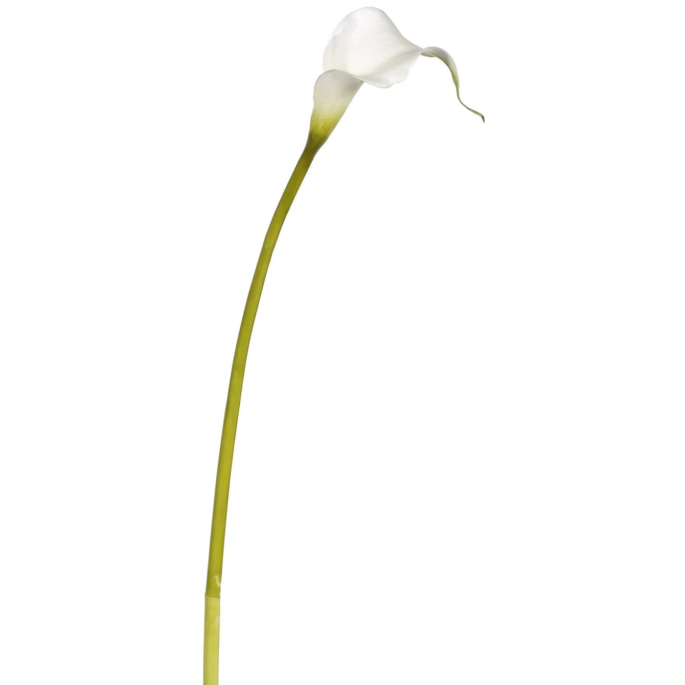 Winward 20.5" Calla Lily