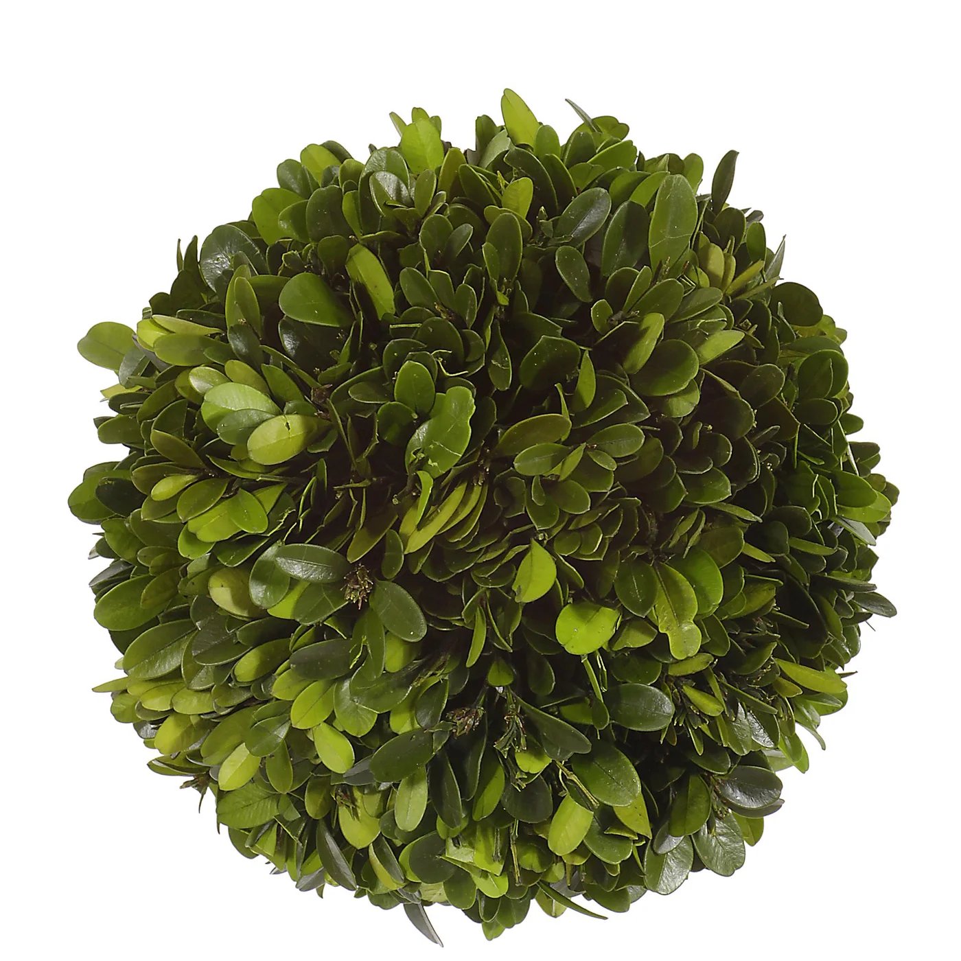 Winward 6" Boxwood Ball