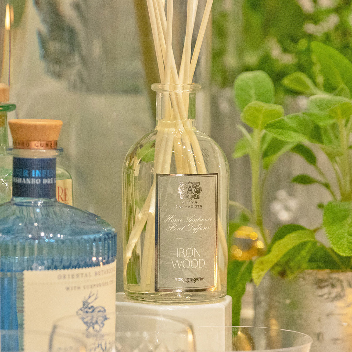 An image of Antica Farmacista Iron Wood Reed Diffuser 8.5 fl oz