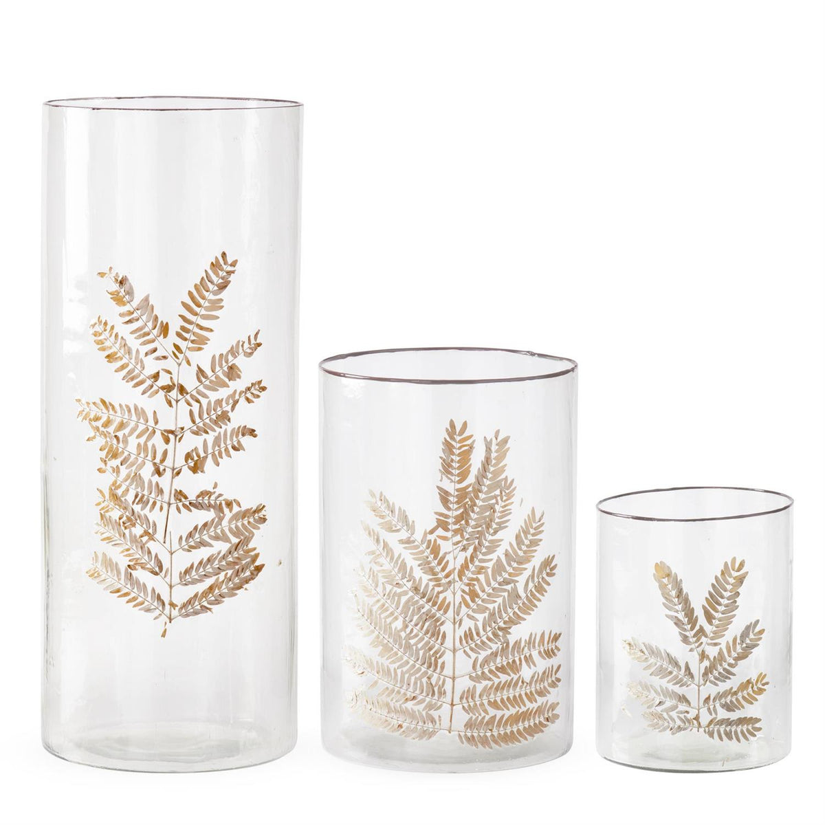 K&K Clear Textured Glass Cylinders with Dried Leaves - Set of 3