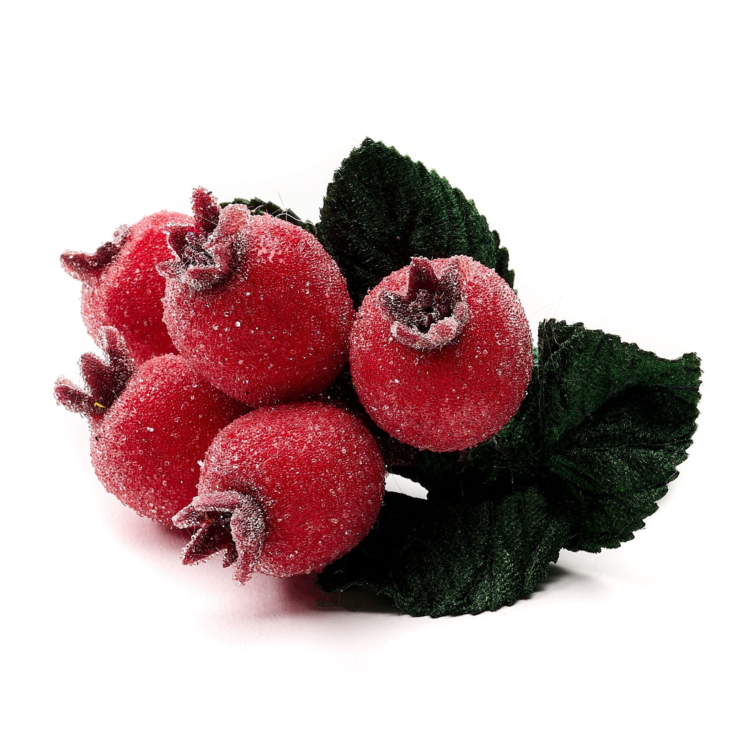 Deborah Rhodes Rosehip Spray Napkin Ring - Set of 4