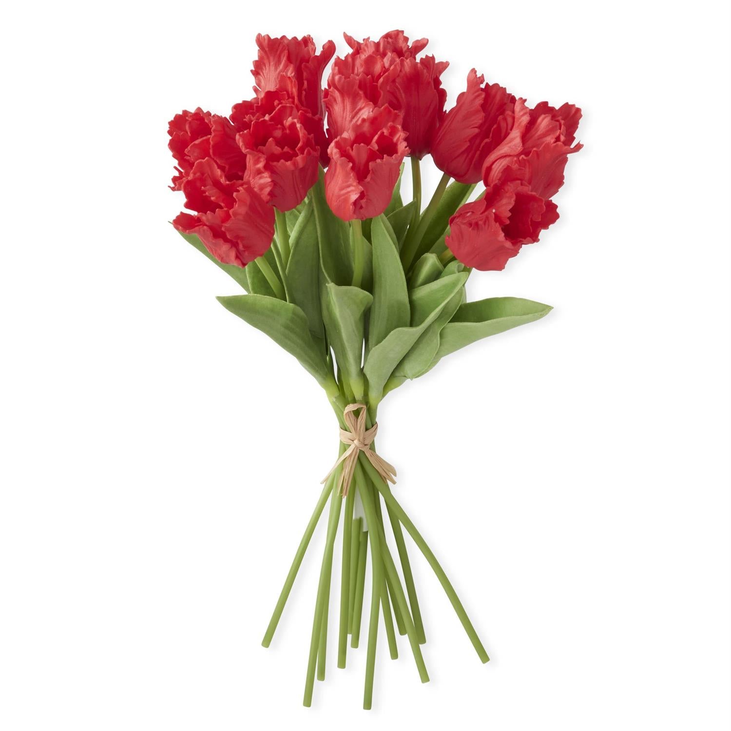 An image of K & K Parrot Tulip Real Touch Bundle - 12 Stem