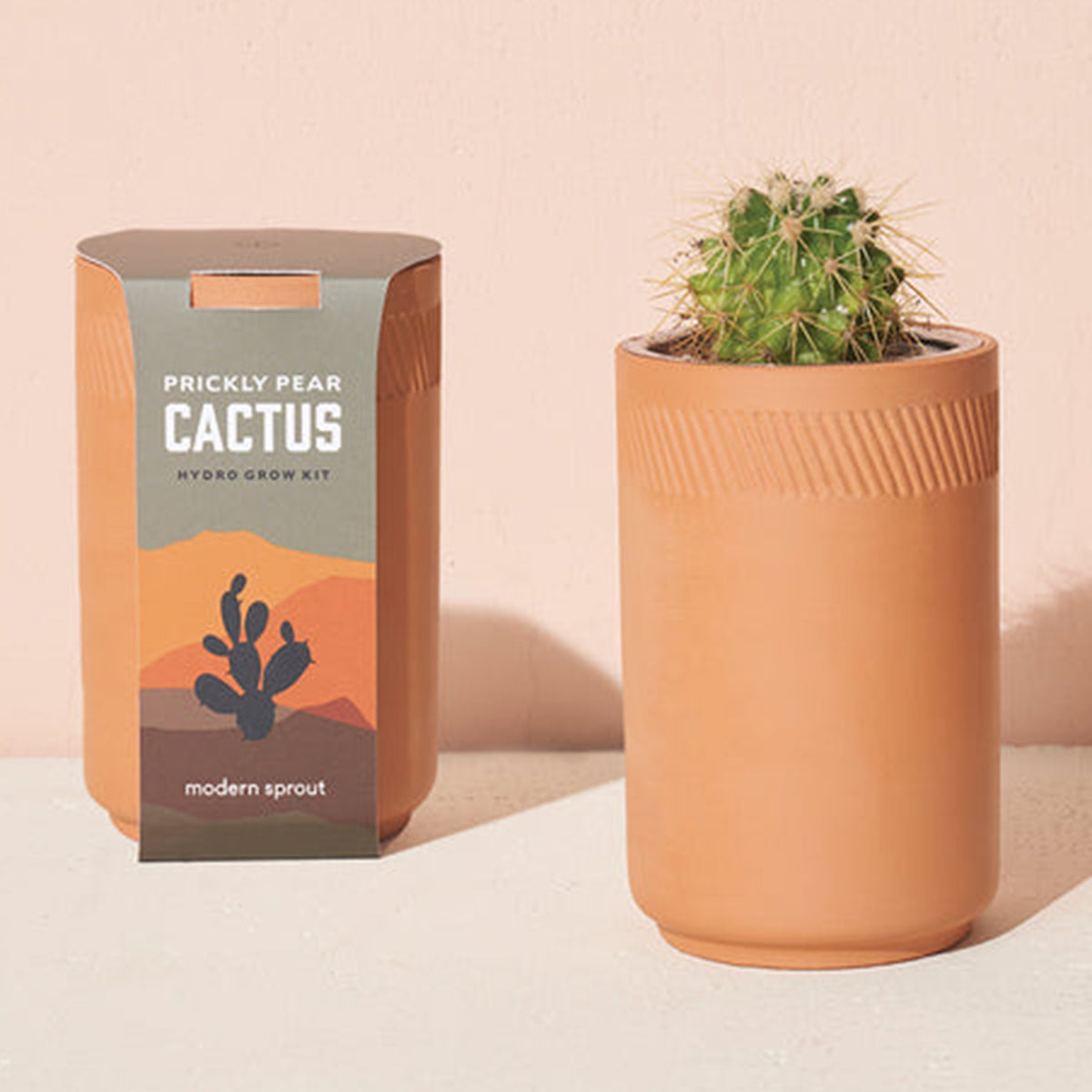 An image of Modern Sprout Terracotta Kit - Cactus Blend