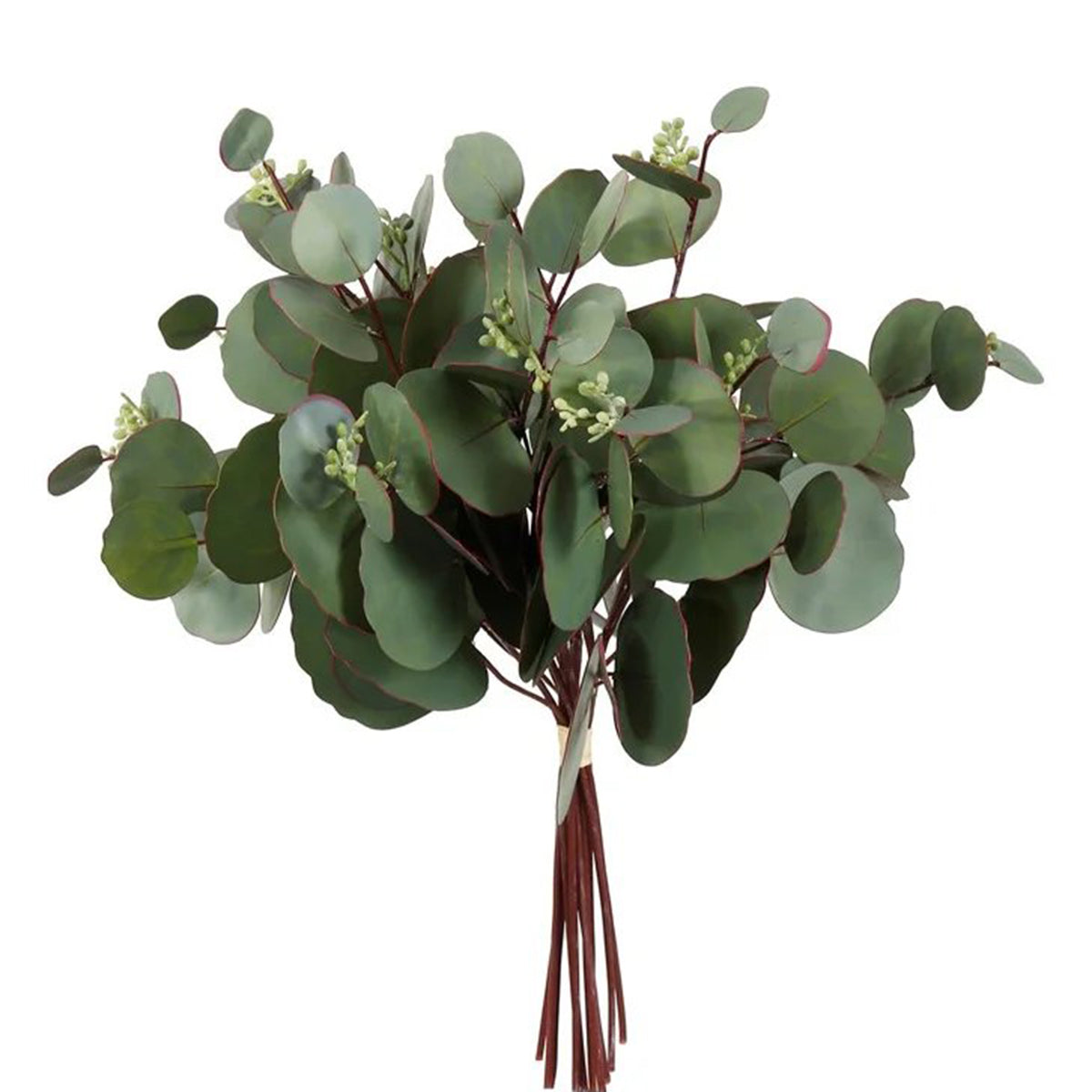 Winward Round Eucalyptus Bundle - 15 inch