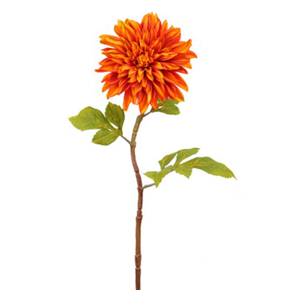 Winward 28" Fall Dahlia