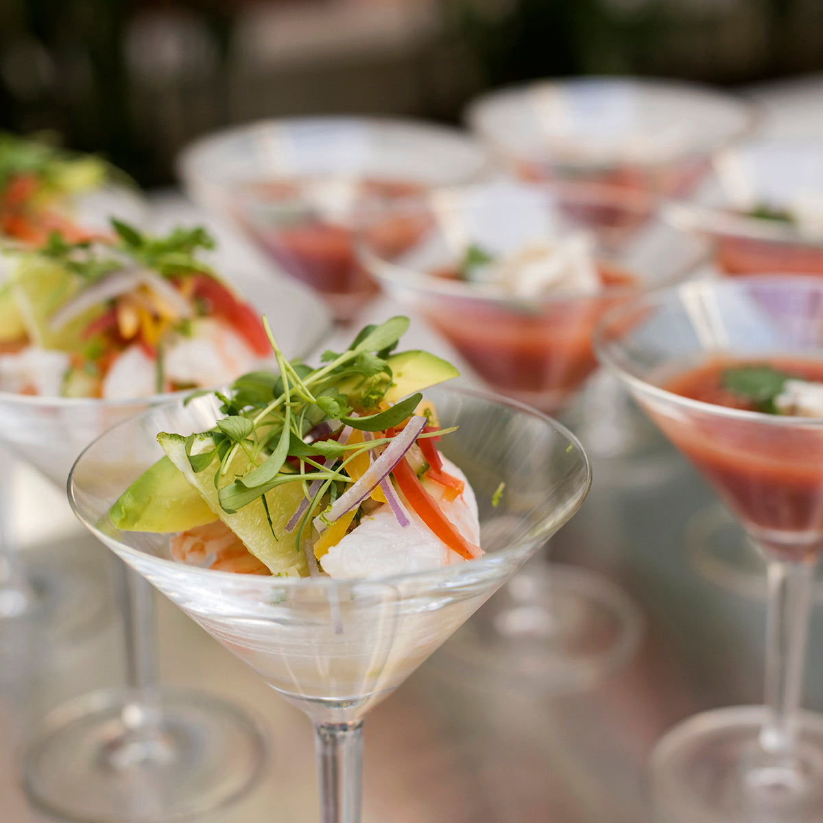 An image of Fortessa Classic Bar Martini Glass