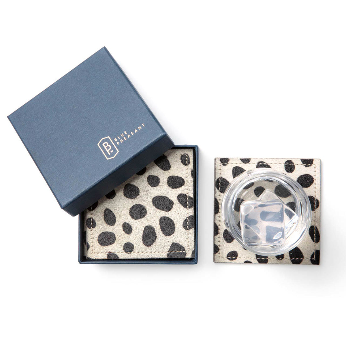 An image of Blue Pheasant Harper Dalmatian Print Square Coasters- Set of 4