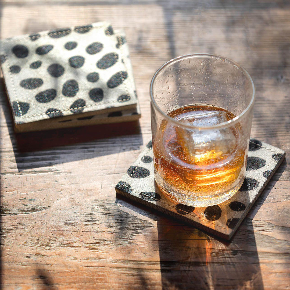 An image of Blue Pheasant Harper Dalmatian Print Square Coasters- Set of 4