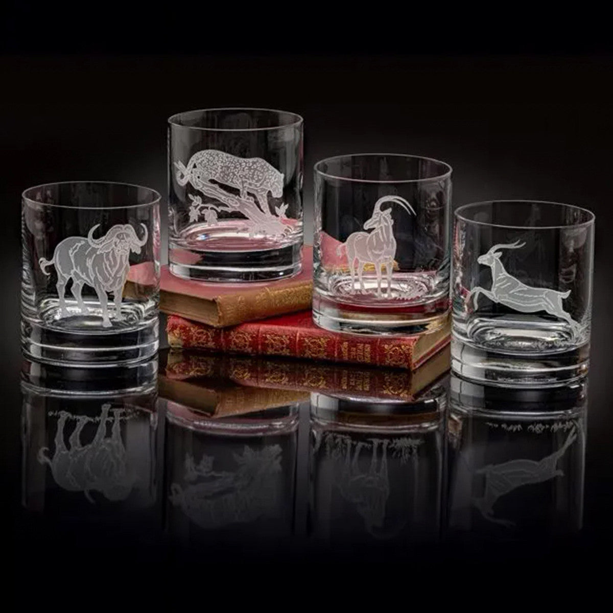 An image of Julie Wear Designs Safari Safari III Old-Fashioned Assorted Glass - Set of 4