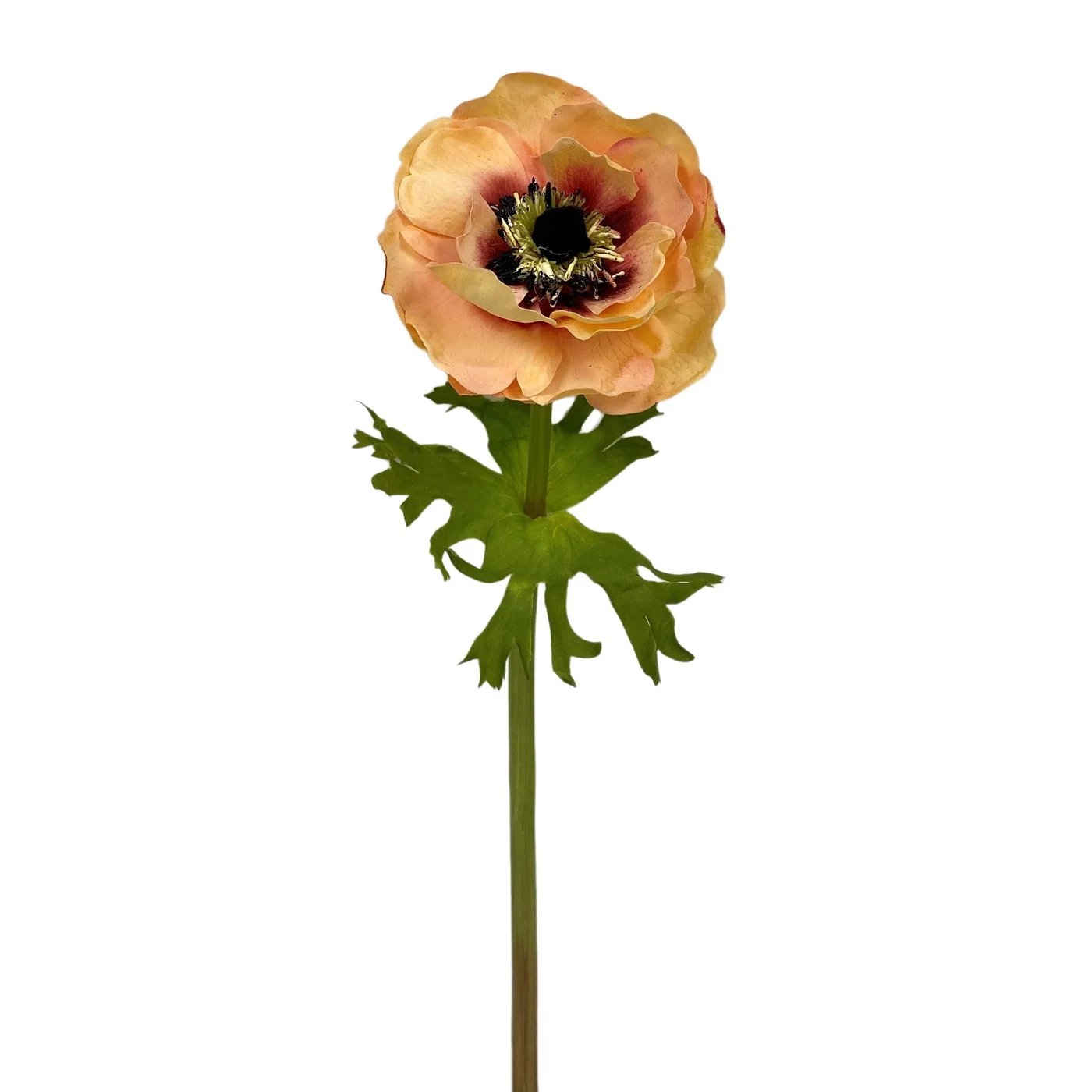 An image of Winward 17.5" Anemone