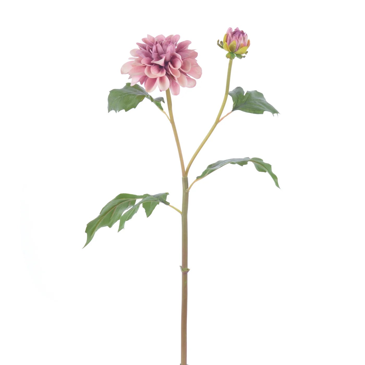 Winward 19.5" Dahlia