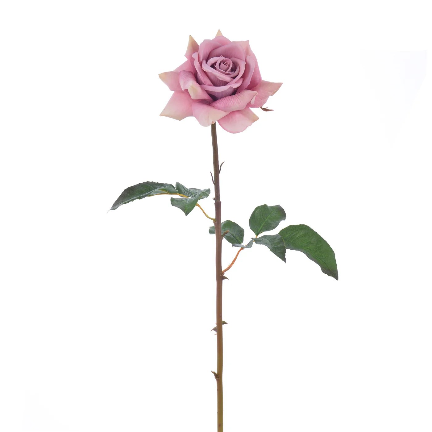 An image of Winward 20" Rose Dutchess Open Short Stem