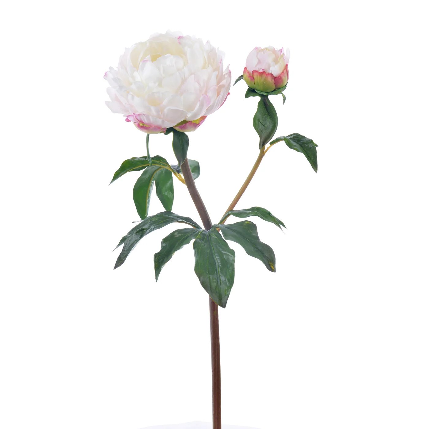 Winward 21.5" Peony Open Stem