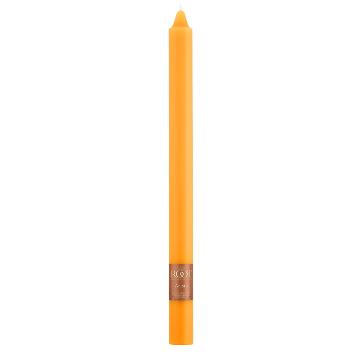 Root Candles Arista 12" - Butterscotch