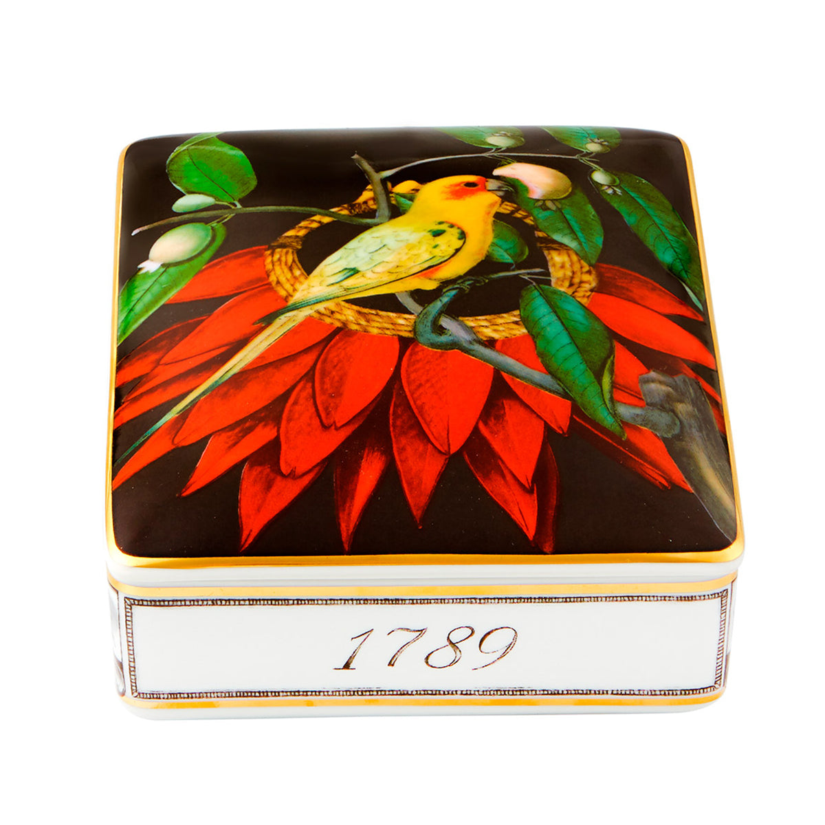 Vista Alegre Amazonia Card Box Dark