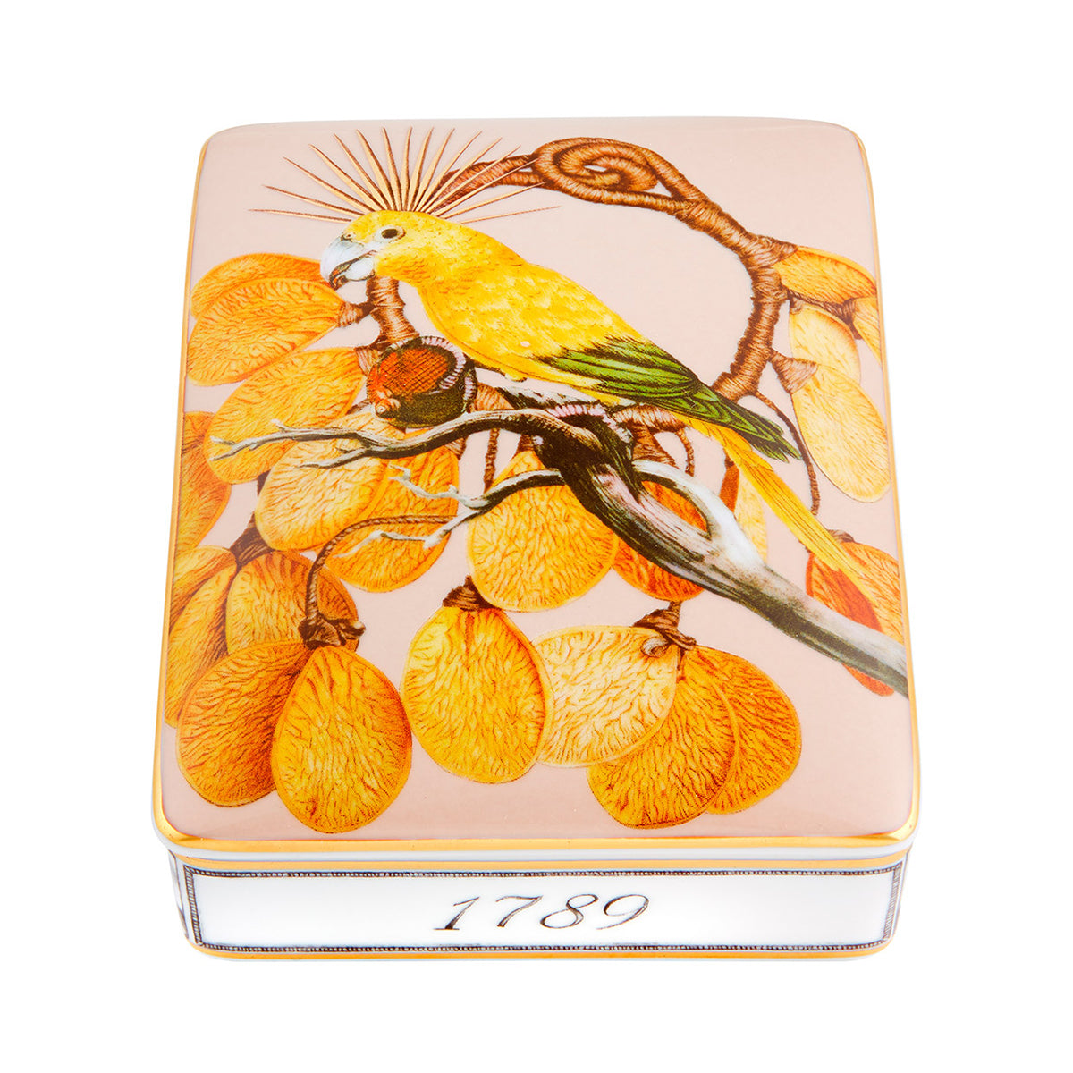 An image of Vista Alegre Amazonia Card Box Lighter