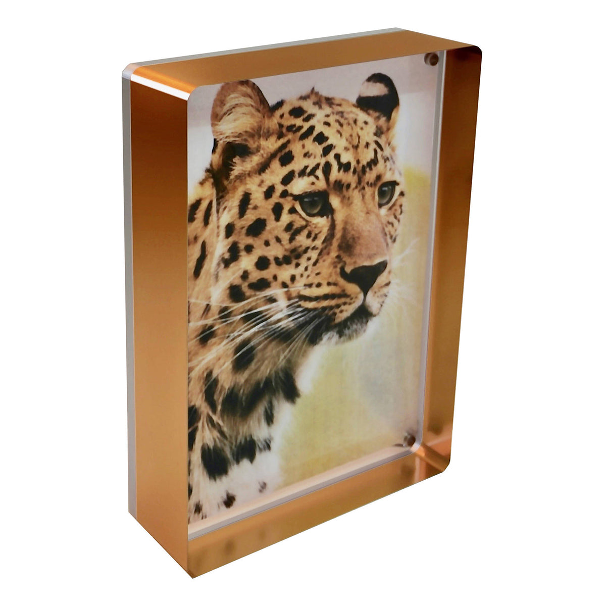 Canetti Prestige Acrylic Magnet Picture Frame