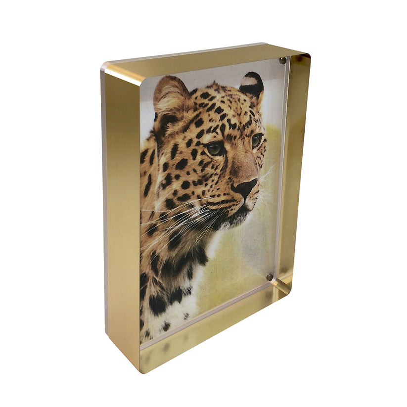 Canetti Prestige Acrylic Magnet Picture Frame