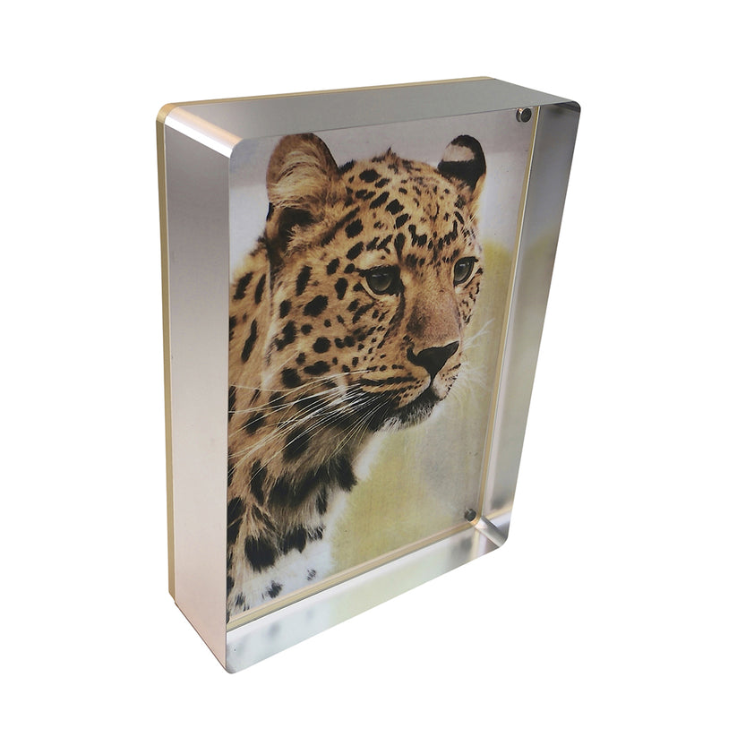 Canetti Prestige Acrylic Magnet Picture Frame