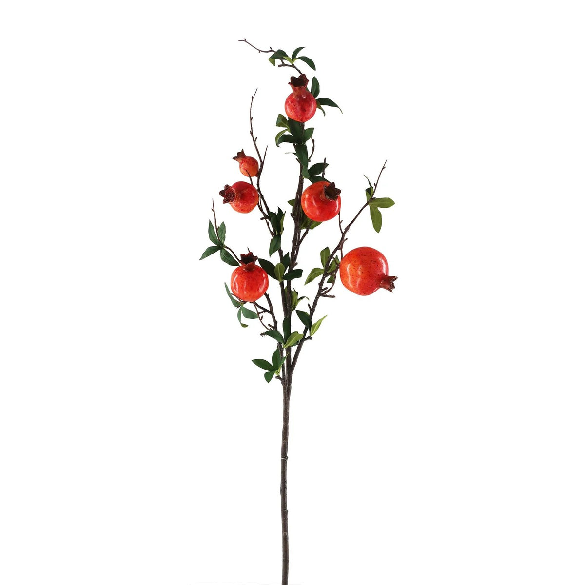 Winward Pomegranate Bough