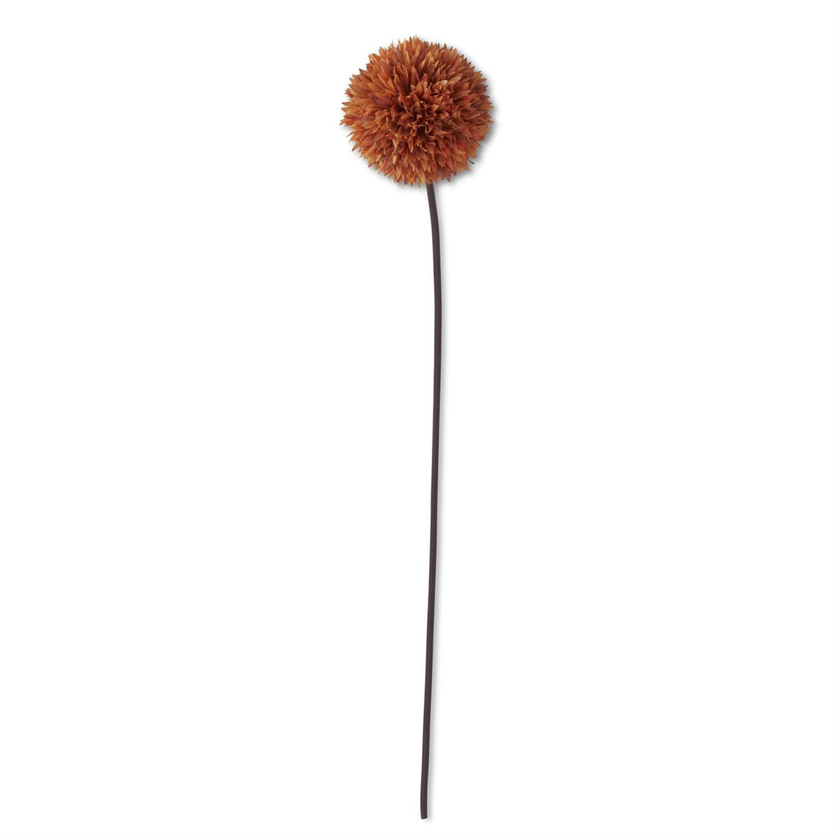 K & K 31" Orange Allium Stem