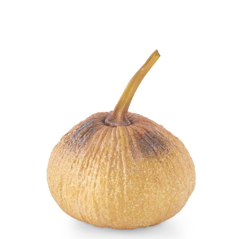 K & K Orange with Yellow & Brown Shadowing Gourd