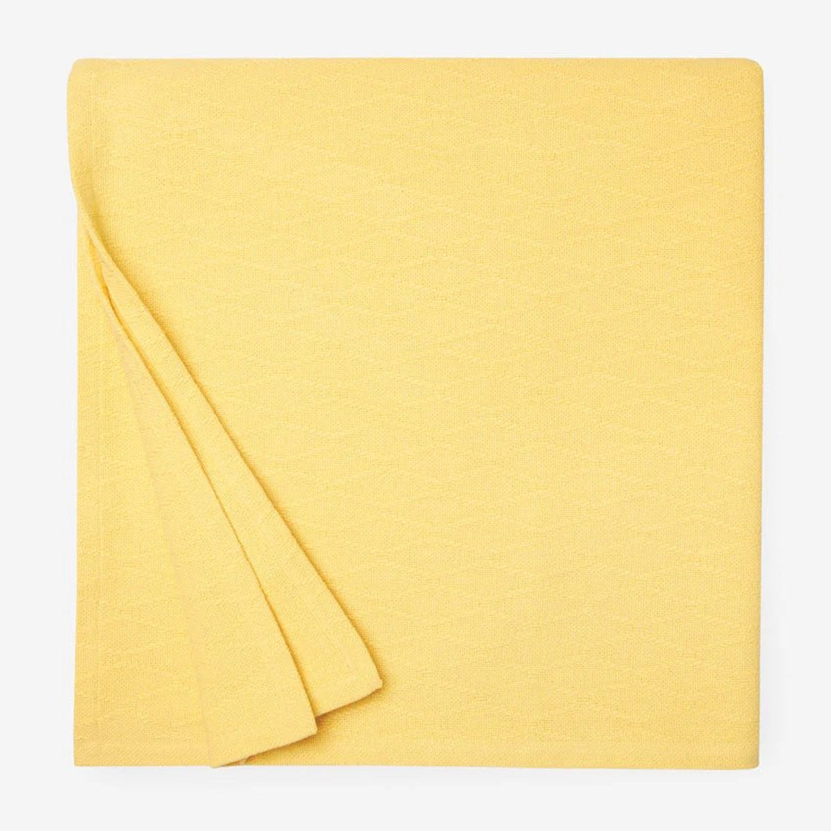 An image of Sferra Cetara Blanket