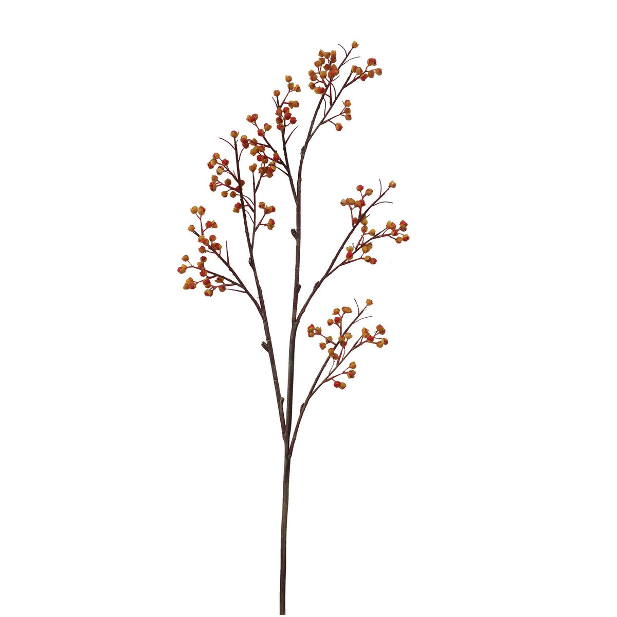 Winward Bittersweet Berry Branch Stem