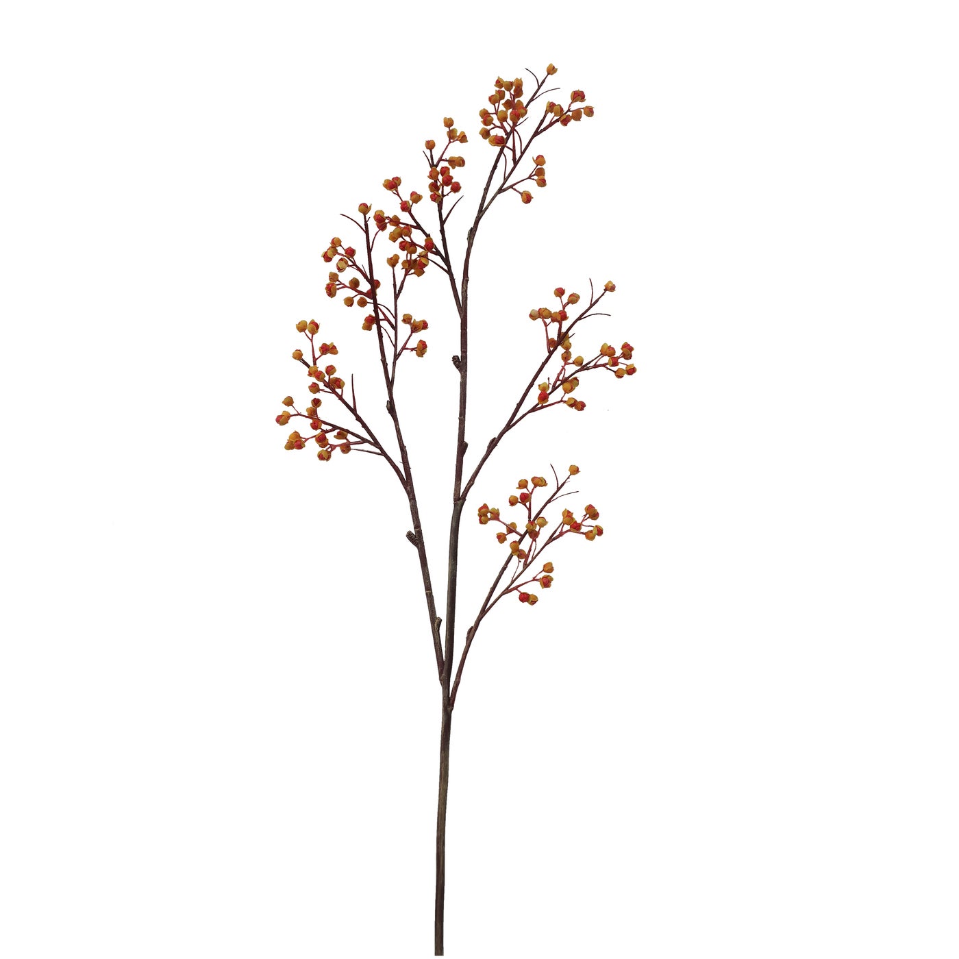 An image of Winward Bittersweet Berry Branch Stem