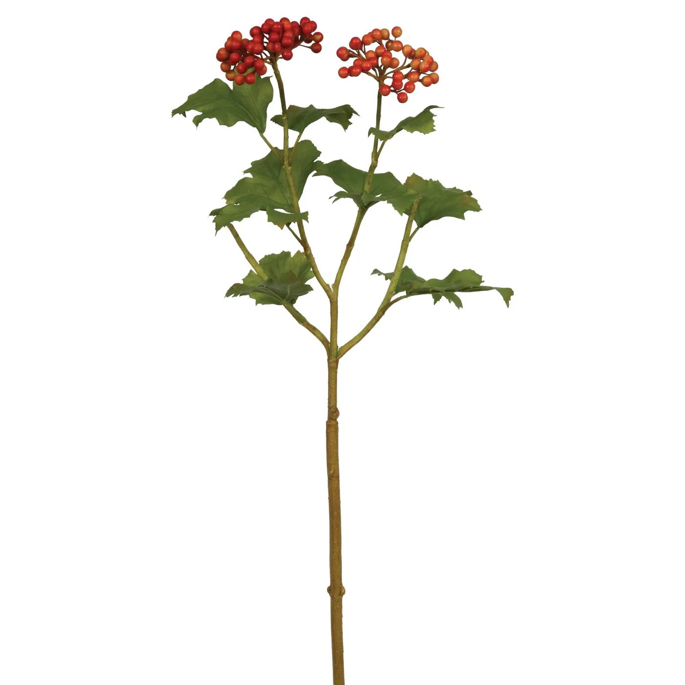 Winward Viburnum Berry Stem