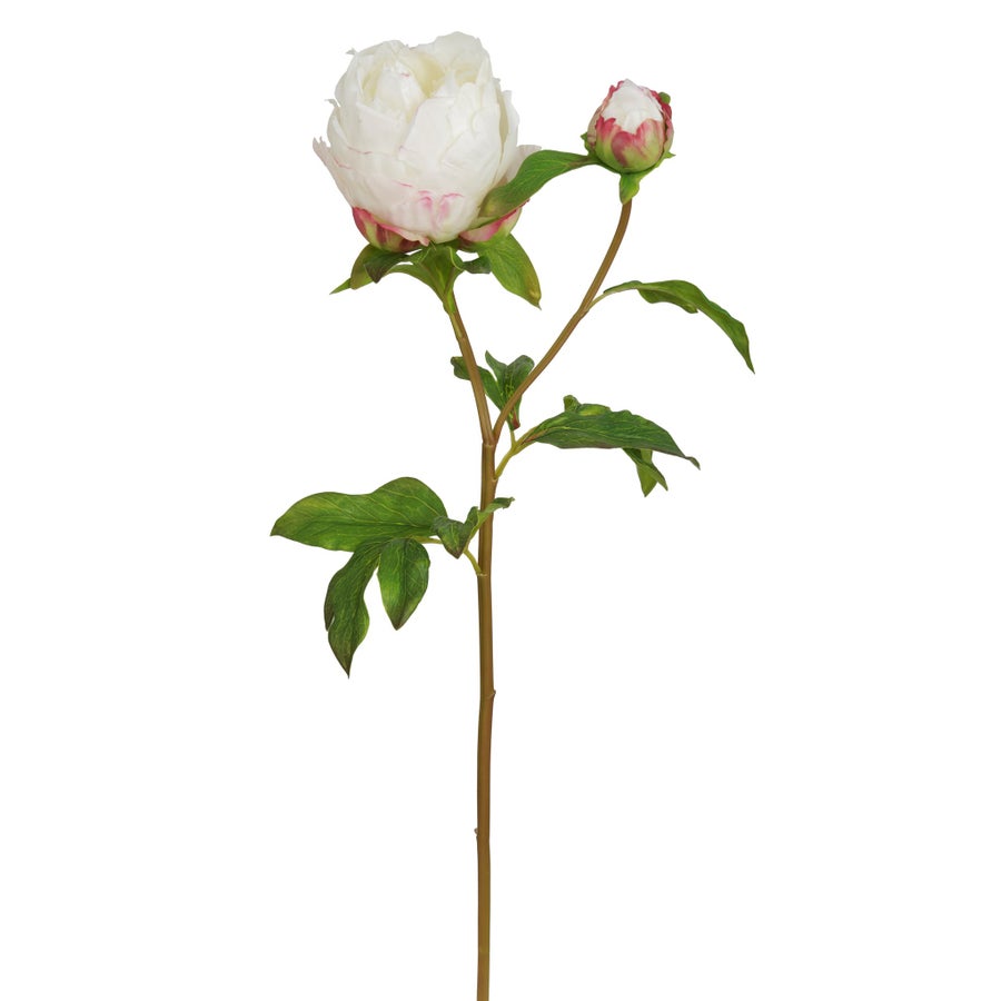 Winward Peony 21" Stem