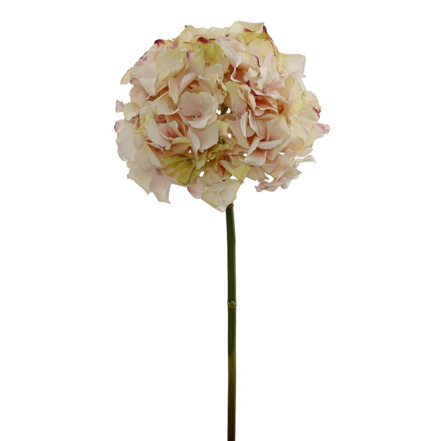 Winward Linen Cream Hydrangea Stem