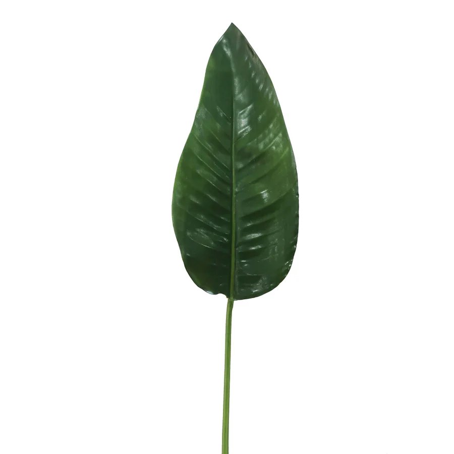 Winward Bird of Paradise Leaf