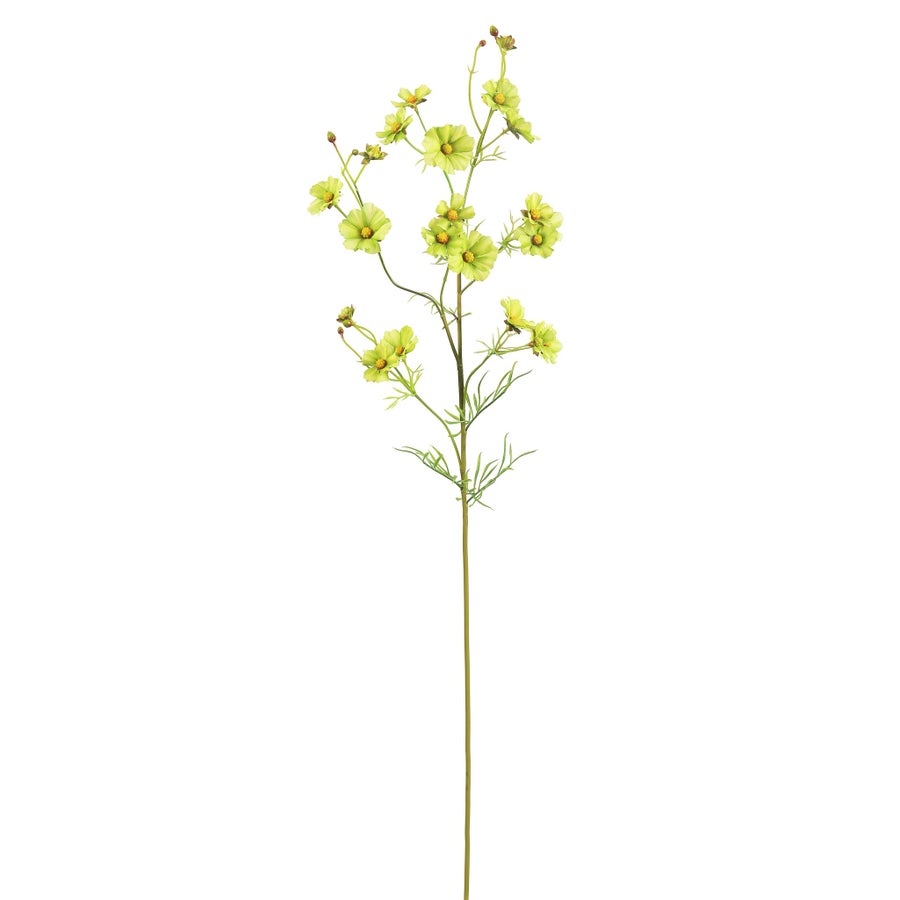 An image of Winward Coreopsis 33" Spray Stem