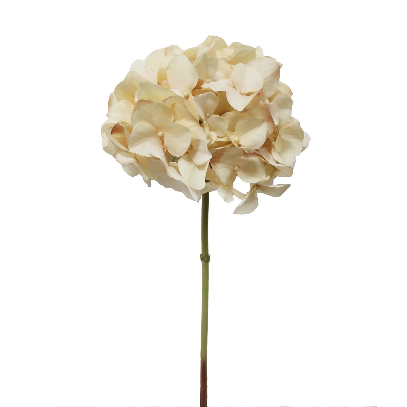 Winward 20.5" Hydrangea